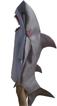 鯊魚連身衣1灰-動物造型服裝-海底世界服裝出租店(板橋薪傳租衣店)