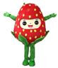 草莓人偶 水果人偶造型系列 農產品宣傳 大湖草莓