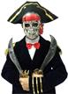 骷顱海盜船長-神鬼奇航.加勒比海 海賊船