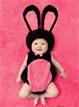M-小兔子1-BABY嬰兒造型服裝出租借  價錢:租金300元