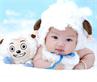 M-小綿羊造型-嬰幼兒造型服裝出租借(薪傳服裝) 價錢:租金200元