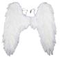 翅膀型3特大-白色羽毛翅膀 天使翅膀 可随意弯曲造型 