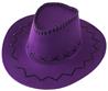 牛仔帽(紫色)