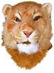 逼真獅子面具-動物頭套