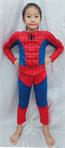 B-蜘蛛俠6 (肌肉上衣+面具)服裝-其他角度~PS:用超人肌肉裝代拍的示範圖(無褲子.可另租)-2